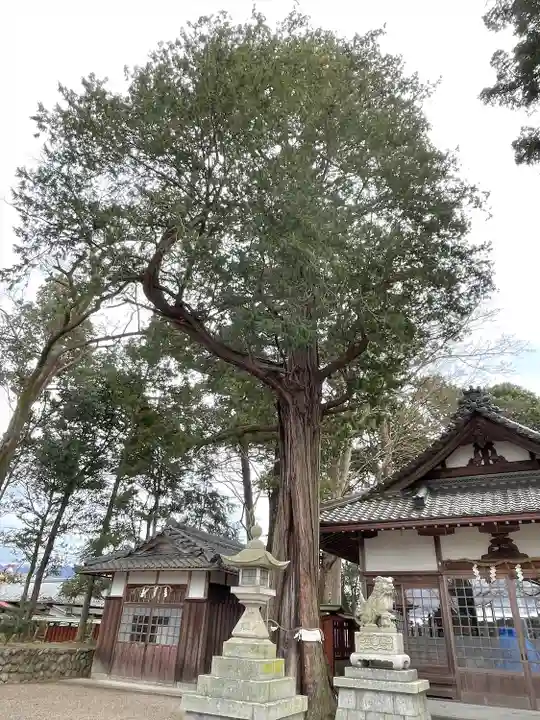 植木神社の自然