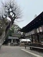 立木神社(滋賀県)