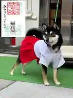 【閉業】小石川大神宮(東京都)