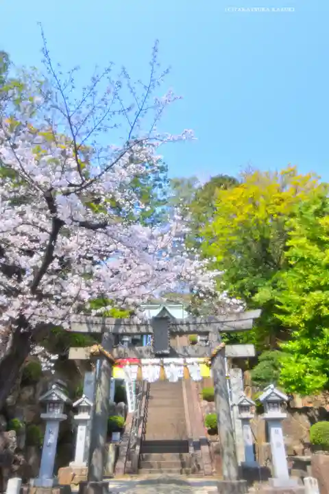 師岡熊野神社(神奈川県)