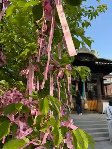 桜神宮の{uncategorized: "未分類", other: "その他", undefined: "問題あり", building: "その他建物", grave: "お墓", sacred_gate: "鳥居", guardian: "狛犬", statue: "像", buddha: "仏像", history: "歴史", nature: "自然", garden: "庭園", animal: "動物", pagoda: "塔", temizu: "手水舎", mountain_gate: "山門・神門", sanctuary: "本殿・本堂", subordinate: "末社・摂社", art: "芸術", scenery: "景色", jizo: "地蔵", ema: "絵馬", goshuin: "御朱印", omikuji: "おみくじ", items: "授与品その他", amulet: "お守り", goshuincho: "御朱印帳", eats: "食事", festival: "お祭り", votive_dance: "神楽", shichigosan: "七五三参", wedding: "結婚式", experience: "体験その他", initially: "初詣", around: "周辺", anti_infection: "感染症対策"}