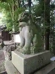 白和瀬神社の狛犬