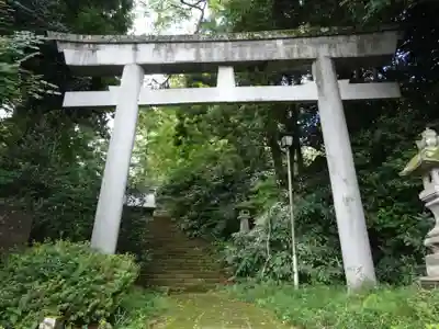 都々古別神社(馬場)の鳥居