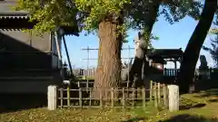 諏訪神社の建物その他