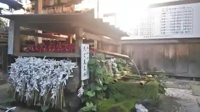 市比賣神社の手水舎