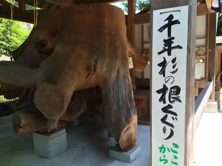 雲八幡宮の御朱印