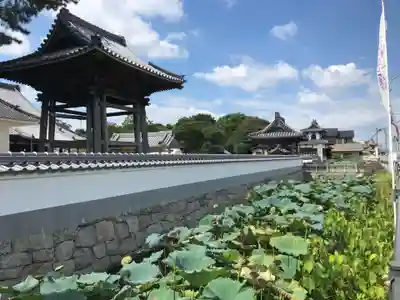 雲龍山 本證寺(愛知県)