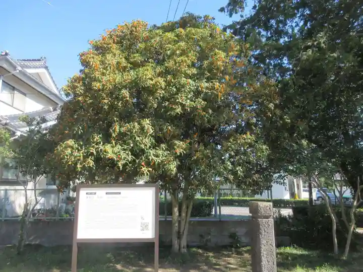 仙台東照宮(宮城県)