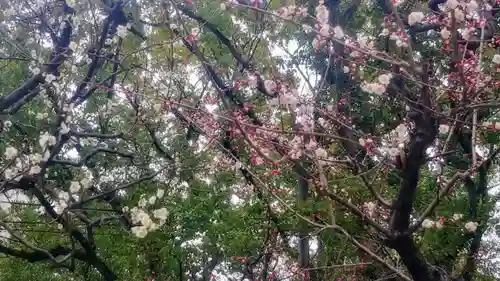 筥崎宮(福岡県)