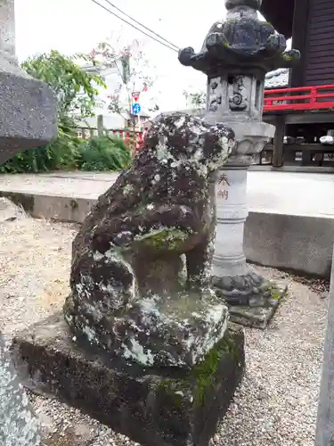 増田神社の狛犬