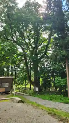 光清寺(山形県)