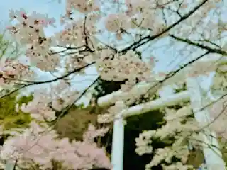 土津神社|こどもと出世の神さま(福島県)