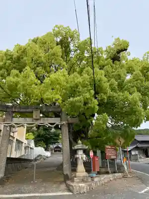 八幡神社の鳥居