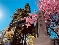 西野神社の建物その他