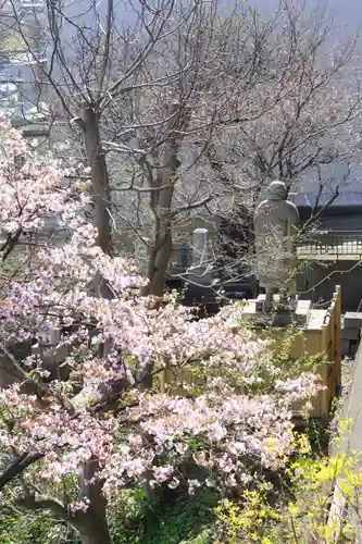 日頭山　立雲寺の自然