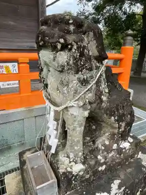 取星寺(徳島県)