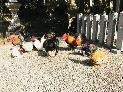 石上神宮(奈良県)