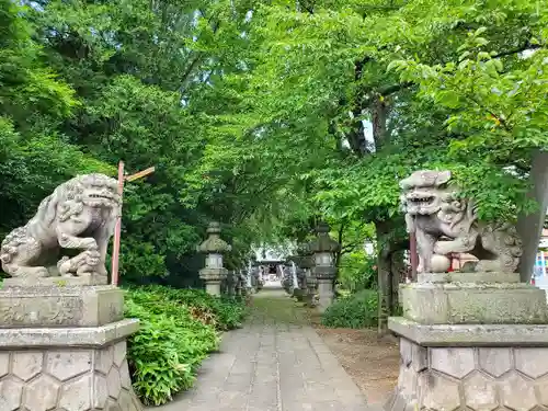 神炊館神社 ⁂奥州須賀川総鎮守⁂の狛犬