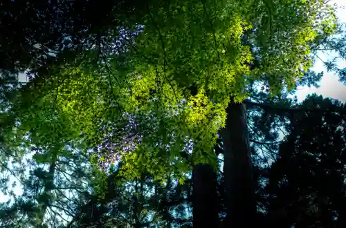 雄山神社中宮祈願殿(富山県)
