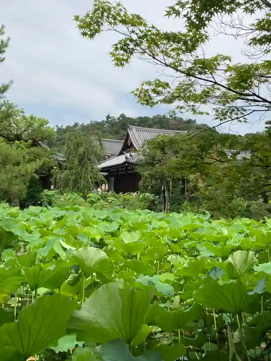 法金剛院(京都府)