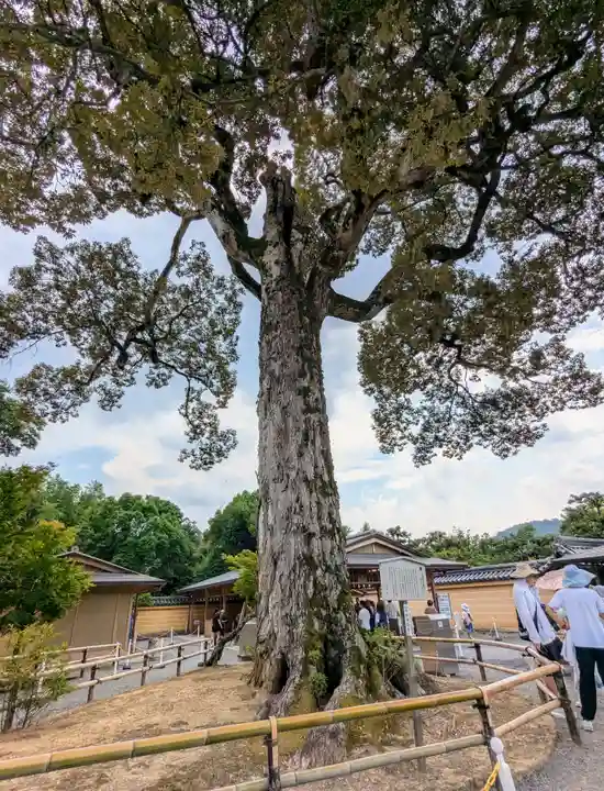 鹿苑寺(金閣寺)(京都府)