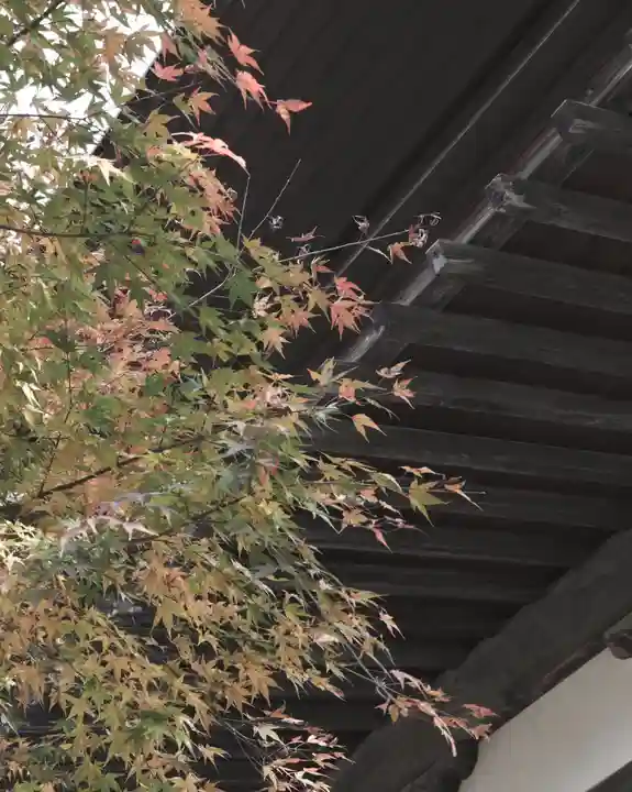 西善寺(埼玉県)