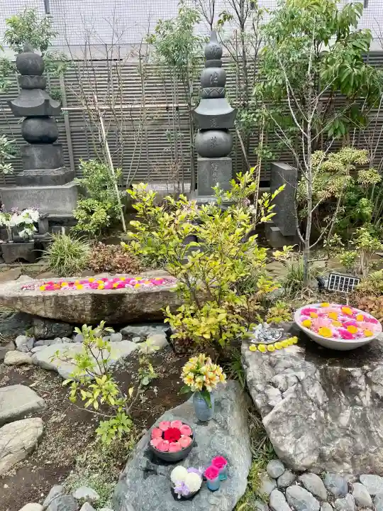 法輪寺の{uncategorized: "未分類", other: "その他", undefined: "問題あり", building: "その他建物", grave: "お墓", sacred_gate: "鳥居", guardian: "狛犬", statue: "像", buddha: "仏像", history: "歴史", nature: "自然", garden: "庭園", animal: "動物", pagoda: "塔", temizu: "手水舎", mountain_gate: "山門・神門", sanctuary: "本殿・本堂", subordinate: "末社・摂社", art: "芸術", scenery: "景色", jizo: "地蔵", ema: "絵馬", goshuin: "御朱印", omikuji: "おみくじ", items: "授与品その他", amulet: "お守り", goshuincho: "御朱印帳", eats: "食事", festival: "お祭り", votive_dance: "神楽", shichigosan: "七五三参", wedding: "結婚式", experience: "体験その他", initially: "初詣", around: "周辺", anti_infection: "感染症対策"}