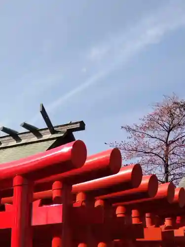 相模原氷川神社(神奈川県)