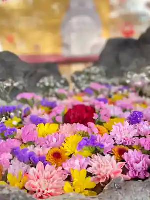 伊達神社の手水舎