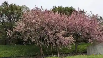 應神天皇惠我藻伏崗陵（誉田御廟山古墳）(大阪府)