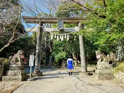 秦神社の鳥居
