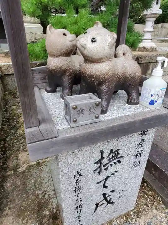 白國神社の狛犬