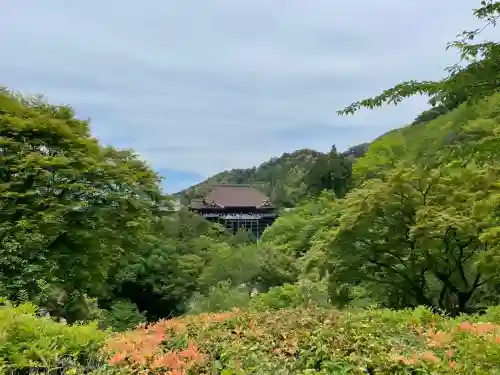 清水寺(京都府)