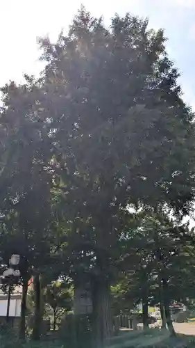 本願寺帯広別院の自然