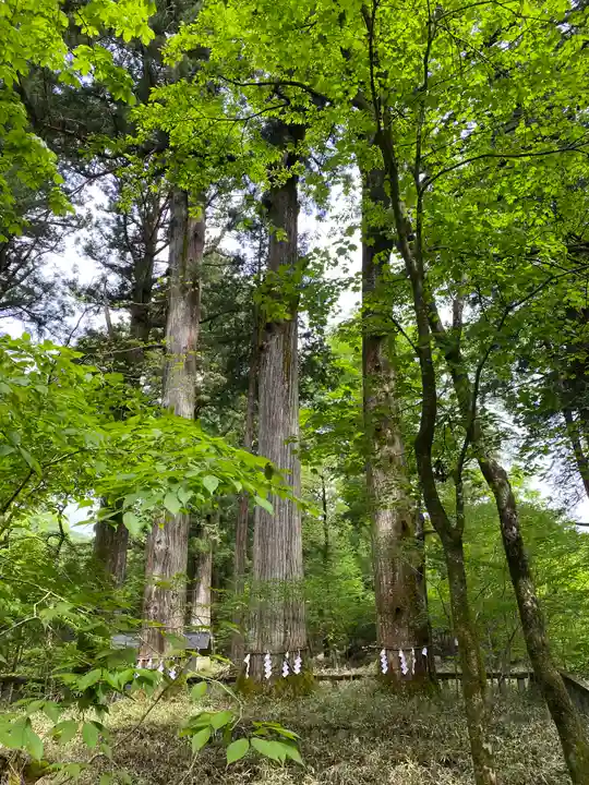 瀧尾神社(日光二荒山神社別宮)の自然