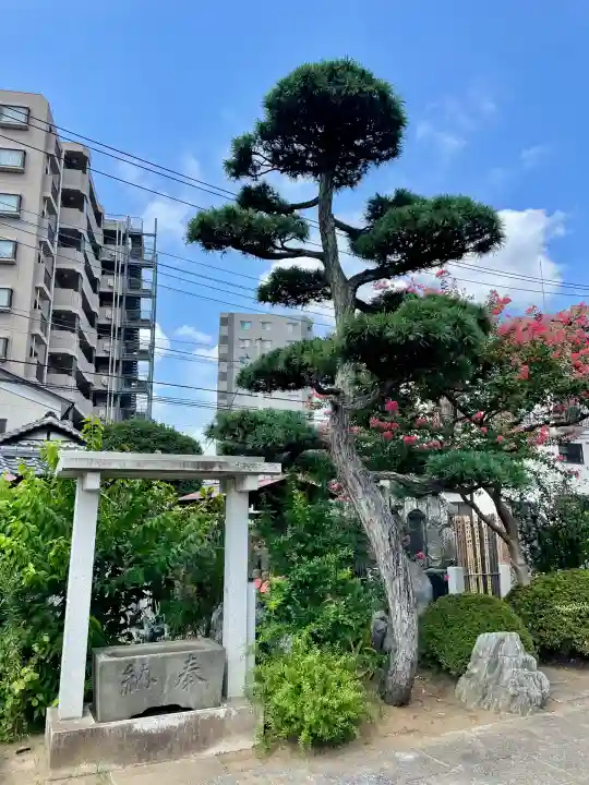 吉祥寺(千葉県)