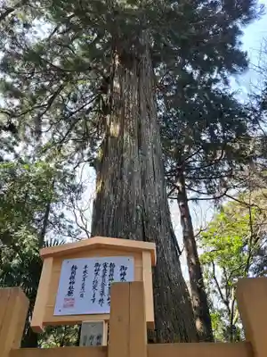 須山浅間神社(静岡県)