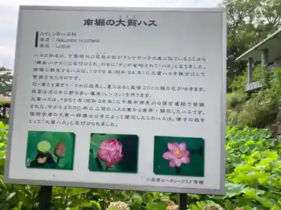 報徳二宮神社の歴史