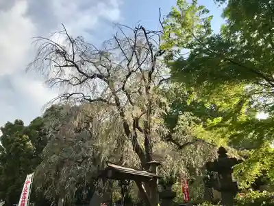 清水観音堂(東京都)