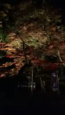 笠間稲荷神社の自然