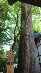 川越氷川神社の建物その他