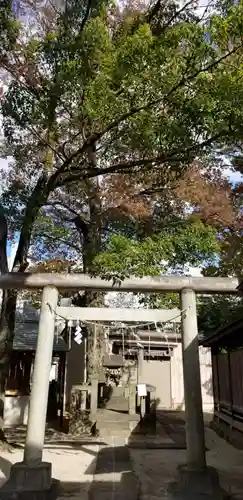 松戸神社の鳥居