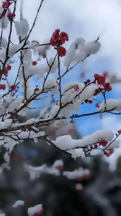 毘沙門堂門跡の自然