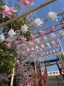 仙台八坂神社(宮城県)(2025年04月19日(土) 13時09分57秒投稿)