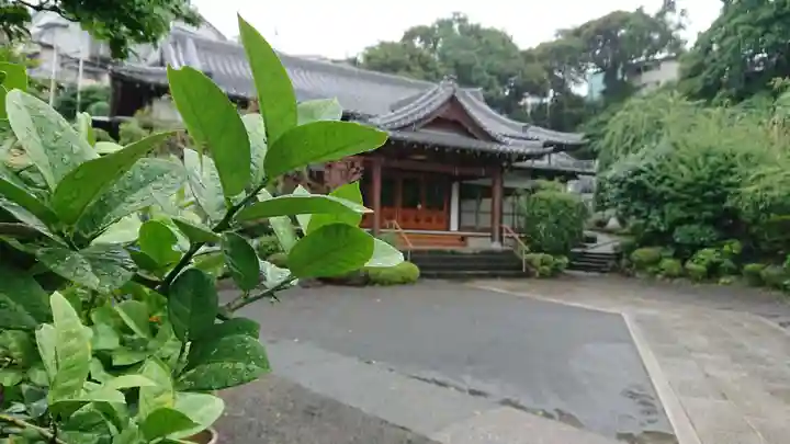 蓮正寺の本殿・本堂