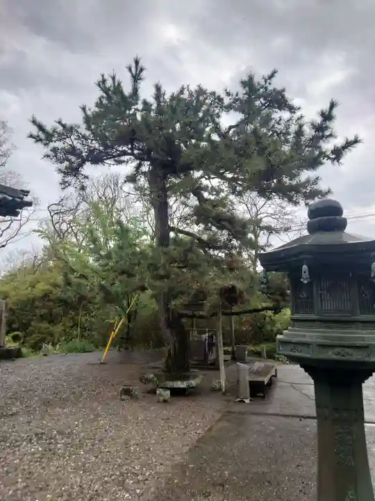 切幡寺(徳島県)