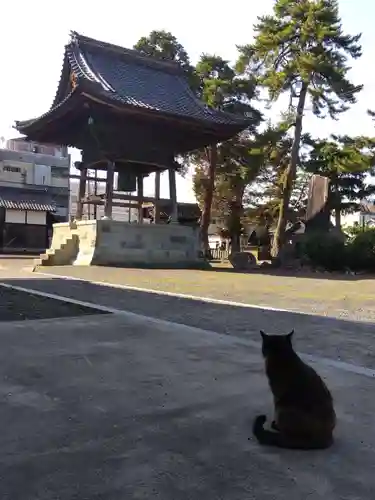 正覚寺(福井県)