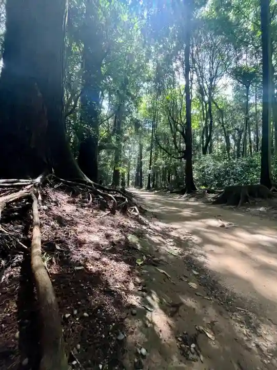鹿島神宮の{uncategorized: "未分類", other: "その他", undefined: "問題あり", building: "その他建物", grave: "お墓", sacred_gate: "鳥居", guardian: "狛犬", statue: "像", buddha: "仏像", history: "歴史", nature: "自然", garden: "庭園", animal: "動物", pagoda: "塔", temizu: "手水舎", mountain_gate: "山門・神門", sanctuary: "本殿・本堂", subordinate: "末社・摂社", art: "芸術", scenery: "景色", jizo: "地蔵", ema: "絵馬", goshuin: "御朱印", omikuji: "おみくじ", items: "授与品その他", amulet: "お守り", goshuincho: "御朱印帳", eats: "食事", festival: "お祭り", votive_dance: "神楽", shichigosan: "七五三参", wedding: "結婚式", experience: "体験その他", initially: "初詣", around: "周辺", anti_infection: "感染症対策"}