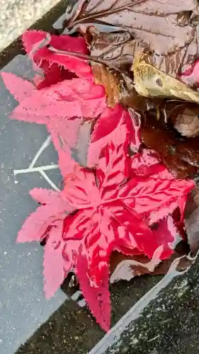 七重浜海津見神社(北海道)