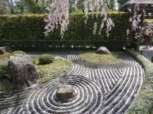 退蔵院(京都府)